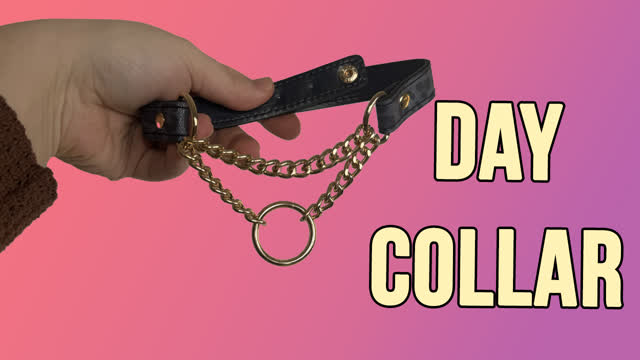 BDSM Product Review - Sportsheets Cougar Day Collar Necklace for Bedroom and Public Wear